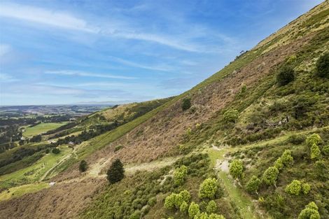 Photo of property in 255 Glentui Bush Road, Glentui, Oxford, 7495