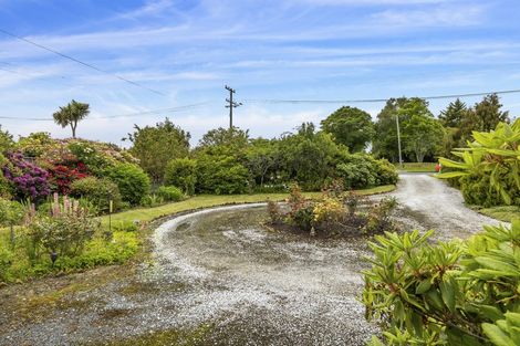 Photo of property in 79 Beach Street, Waikouaiti, 9510