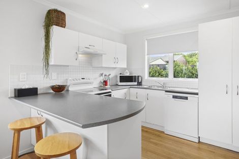 Photo of property in 557a Maunganui Road, Mount Maunganui, 3116