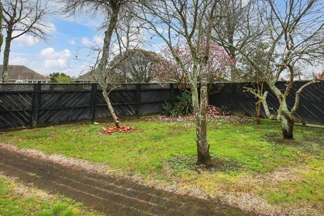 Photo of property in 81 Holland Road, Fairfield, Hamilton, 3214