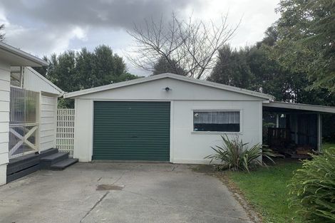 Photo of property in 90 Strathmore Avenue, Levin, 5510