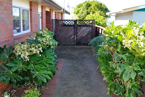 Photo of property in 20a Mayor View Terrace, Waihi Beach, 3611