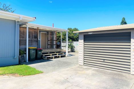 Photo of property in 269 Clarkin Road, Fairfield, Hamilton, 3214