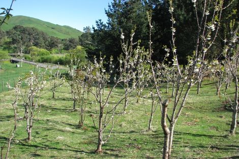 Photo of property in 4 Terrace Street, Matawai, 4075