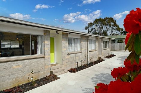 Photo of property in 24 Euan Street, Mangakakahi, Rotorua, 3015