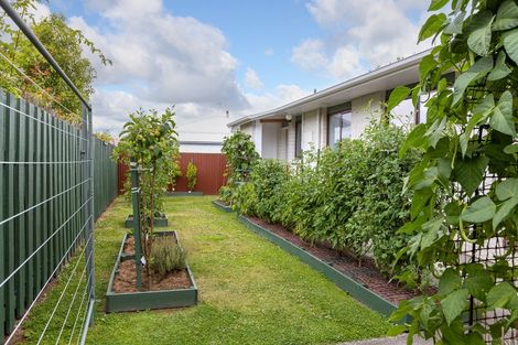 Photo of property in 4 Chamberlain Road, Masterton, 5810