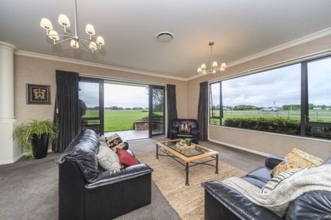 Photo of property in 445e Milson Line, Milson, Palmerston North, 4478