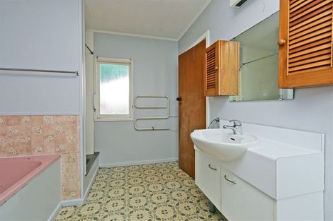 Photo of property in 117 Lumsden Road, Akina, Hastings, 4122