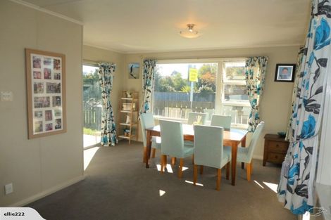 Photo of property in 28 Alma Street, Renwick, 7204