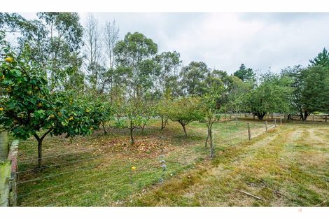 Photo of property in 21 Pleasant Valley Road, Geraldine, 7991