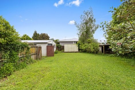 Photo of property in 113 Buckland Street, Putaruru, 3411