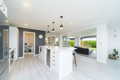 Photo of property in 132 Johnstone Drive, Fitzherbert, Palmerston North, 4410