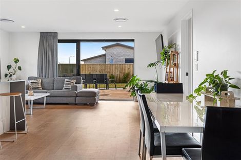 Photo of property in 24 Borland Street, Woodend, 7610