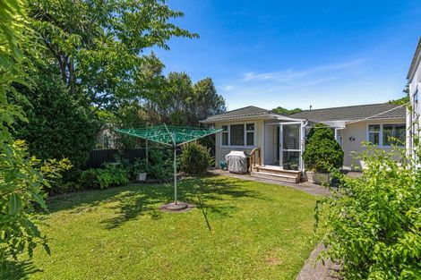 Photo of property in 113 Pahiatua Street, Hokowhitu, Palmerston North, 4410