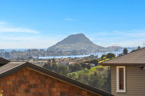 Photo of property in 20 Riddington Rise, Ohauiti, Tauranga, 3112