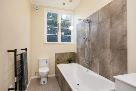 Photo of property in 19 Frederick Street, Terrace End, Palmerston North, 4410