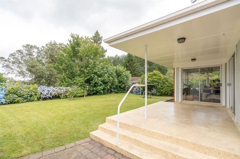 Photo of property in 115 Fitzroy Avenue, Fitzroy, Hamilton, 3206