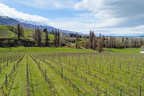 Photo of property in 204 Heaney Road, Cromwell, 9384