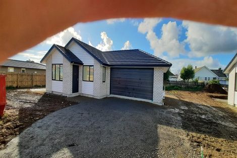 Photo of property in 84 Hinemoa Street, Levin, 5510