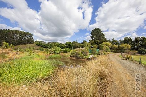 Photo of property in 231 Taiapa Road, Muriwai, Waimauku, 0881