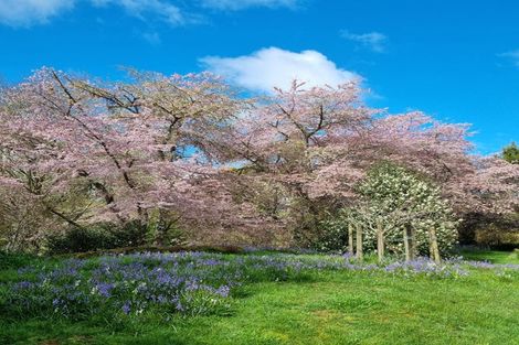 Photo of property in 4003 State Highway 4, Ongarue, 3997