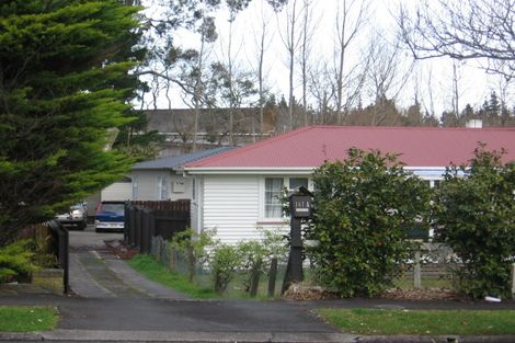 Photo of property in 141a Rimu Street, Maeroa, Hamilton, 3200