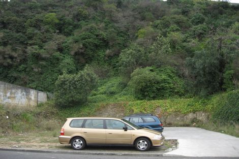 Photo of property in 5 Craven Terrace, Hospital Hill, Napier, 4110