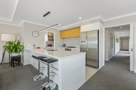 Photo of property in 16 Colt Place, Wigram, Christchurch, 8025