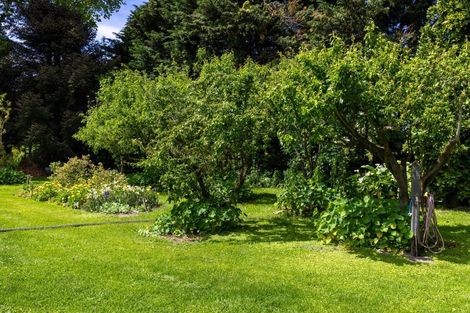 Photo of property in 72 Ferry Road, Spring Creek, 7202