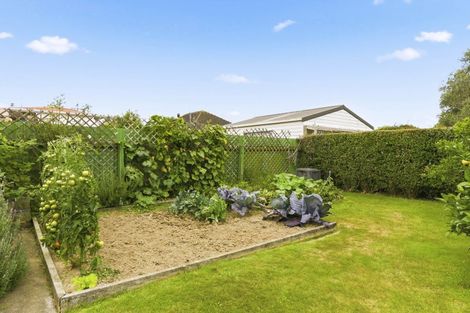 Photo of property in 9 Chester Street, Levin, 5510