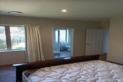 Photo of property in 1c Moule Street, Addington, Christchurch, 8024