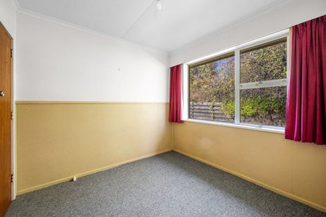 Photo of property in 117 Totara Terrace, Wanaka, 9305