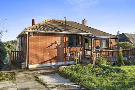 Photo of property in 32 Panmure Avenue, Calton Hill, Dunedin, 9012