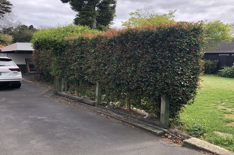 Photo of property in 317 River Road, Claudelands, Hamilton, 3214