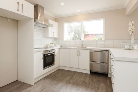 Photo of property in 394 Ruahine Street, Terrace End, Palmerston North, 4410