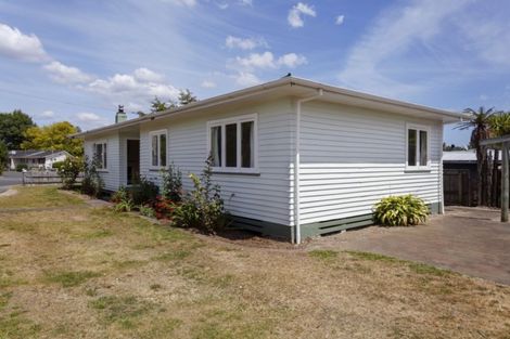 Photo of property in 16 Konini Street, Taupo, 3330