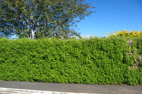 Photo of property in 147 Shetland Street, Wakari, Dunedin, 9010