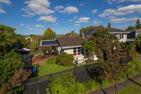 Photo of property in 12 Linmor Place, Terrace End, Palmerston North, 4410
