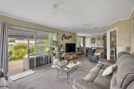 Photo of property in 52 Miro Street, Manunui, Taumarunui, 3924