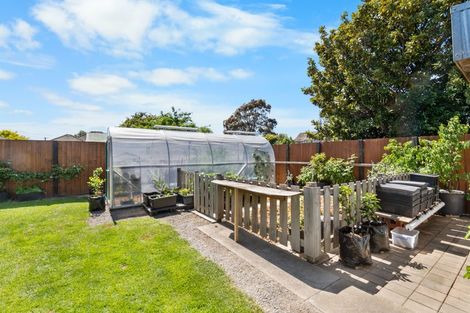 Photo of property in 14 Warren Crescent, Hillmorton, Christchurch, 8025