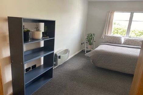 Photo of property in Basin Reserve Complex, 22/4 Sussex Street, Mount Cook, Wellington, 6021