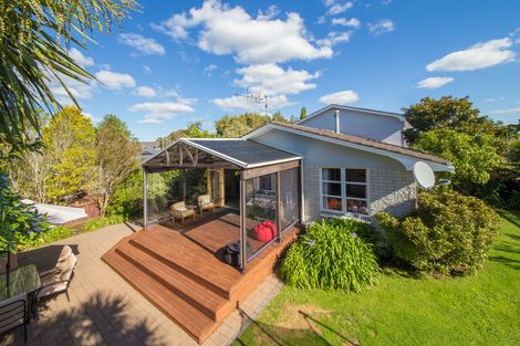 Photo of property in 12 Linmor Place, Terrace End, Palmerston North, 4410