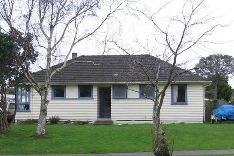 Photo of property in 17 Rochester Street, Awapuni, Palmerston North, 4412