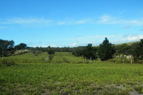 Photo of property in 336 Matai Bay Road, Karikari Peninsula, Kaitaia, 0483