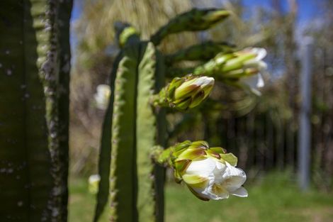 Photo of property in 263 Manly Street, Paraparaumu Beach, Paraparaumu, 5032