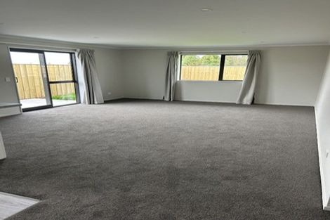 Photo of property in 41 Henshaw Street, Woodend, 7610