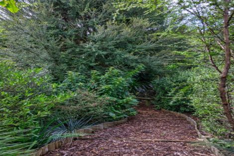 Photo of property in 10 Piako Park Lane, Morrinsville, 3300