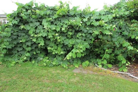 Photo of property in 45 Town Belt South, Blackball, 7804