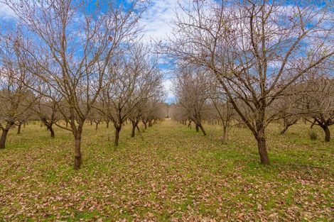 Photo of property in 244 Neal Road, Spring Creek, Blenheim, 7273