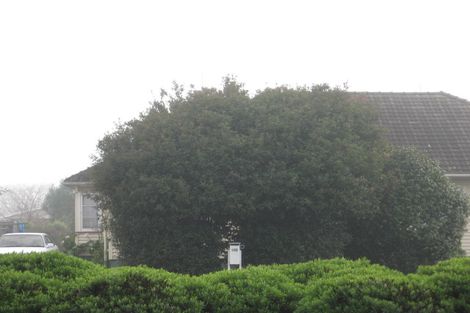 Photo of property in 133 Cobham Drive, Hamilton East, Hamilton, 3216